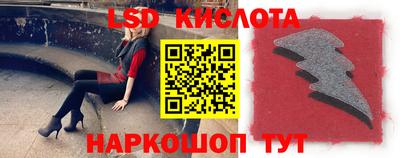 шишки Кингисепп