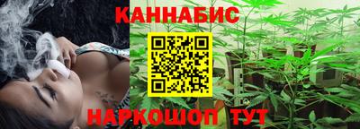 шишки Кингисепп