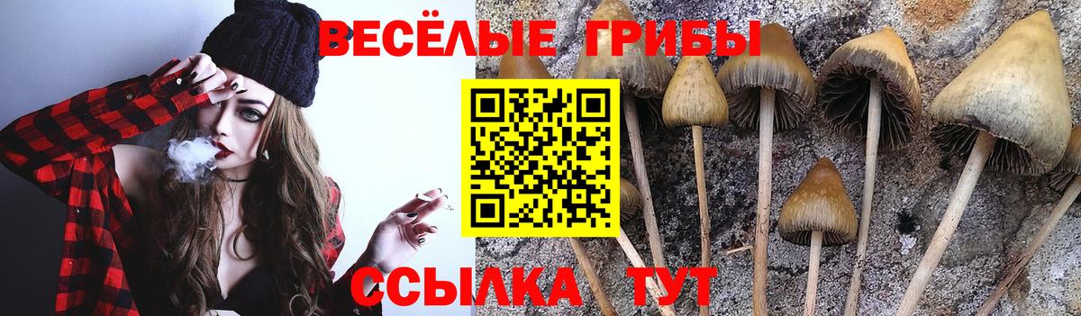 Псилоцибиновые грибы Magic Shrooms Котовск
